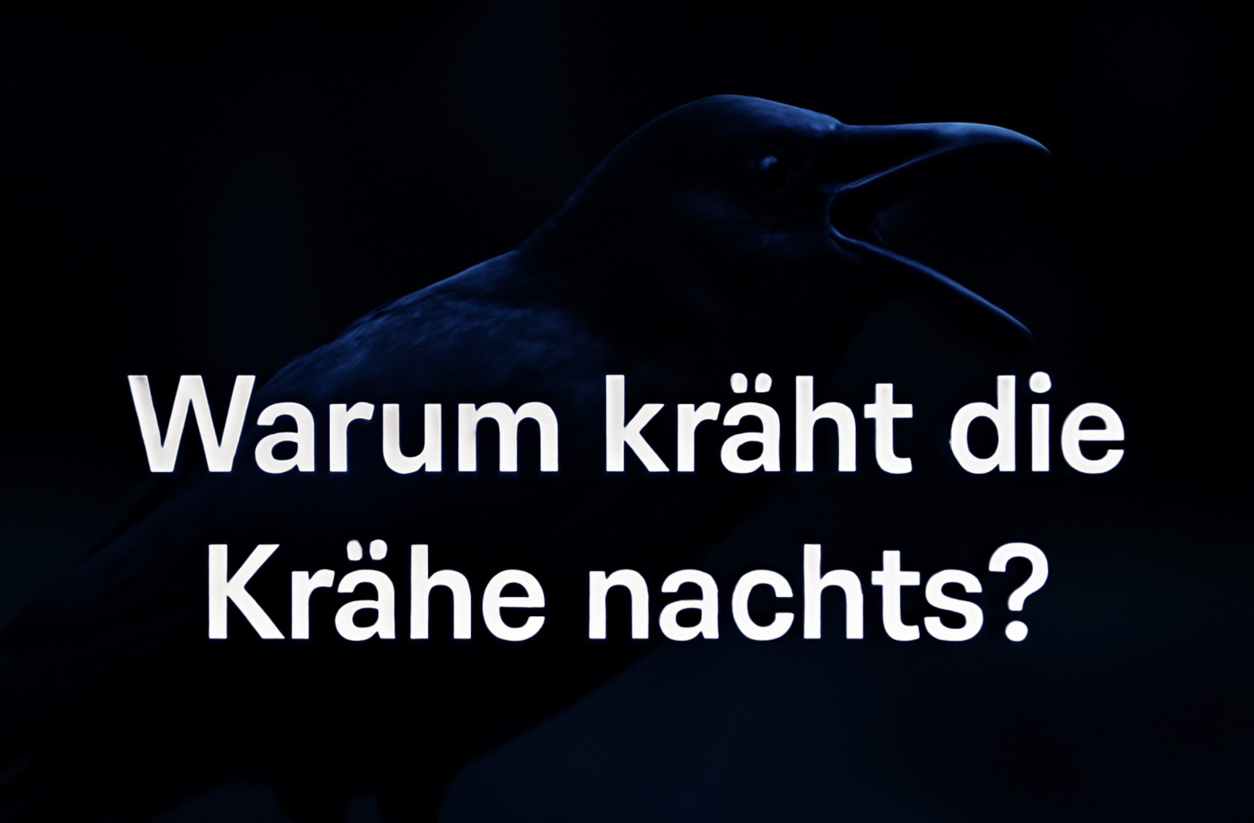 Warum kräht die Krähe nachts? Volksglaube, biologische Ursachen und mögliche Erklärungen