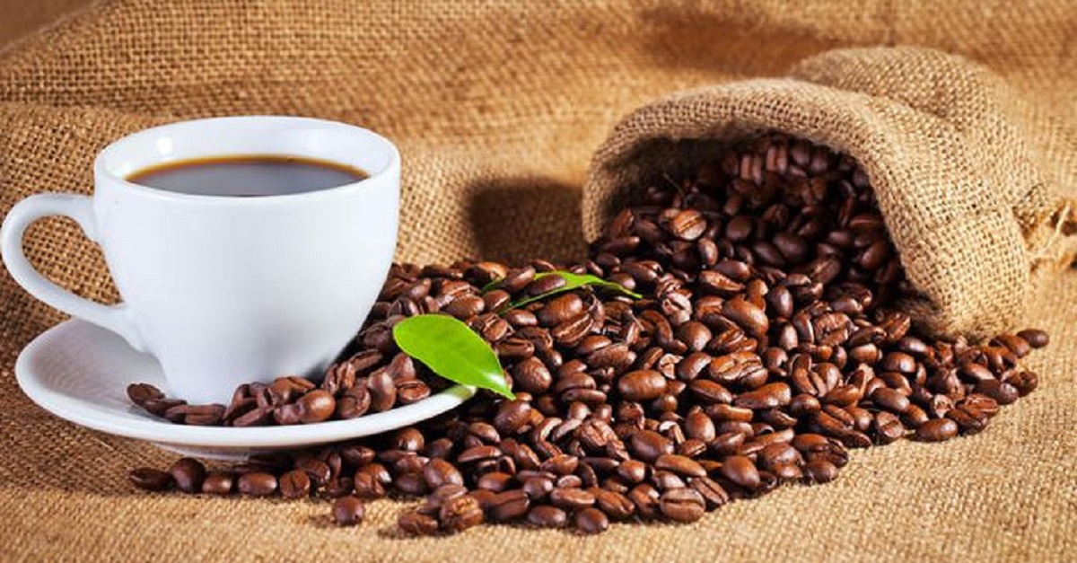 Dunkle und helle Kaffeeröstung – was ist besser für Espresso und Filterkaffee? Erfahren Sie die Unterschiede und Tipps für das perfekte Getränk.