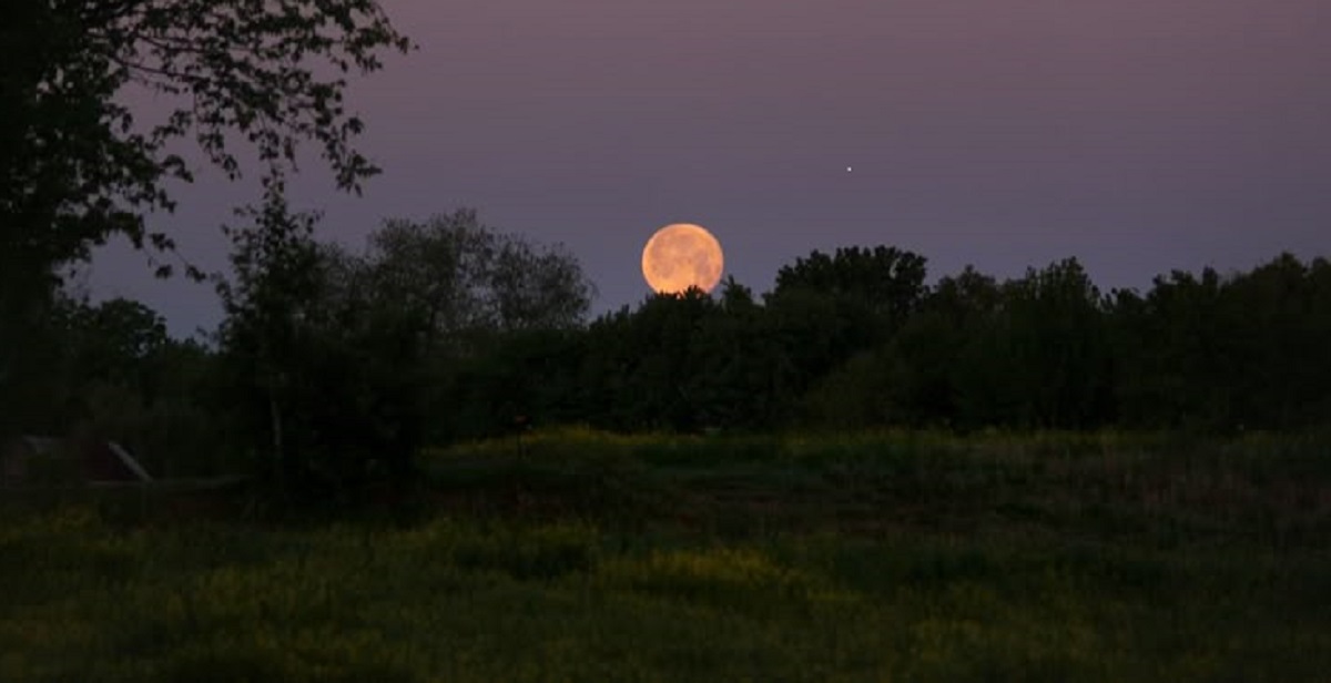 Der Vollmond im Juli 2025: Erfahren Sie, welche Auswirkungen er auf Gesundheit, Emotionen und Alltag hat. Praktische Tipps für Harmonie und Erfolg in dieser Zeit.
