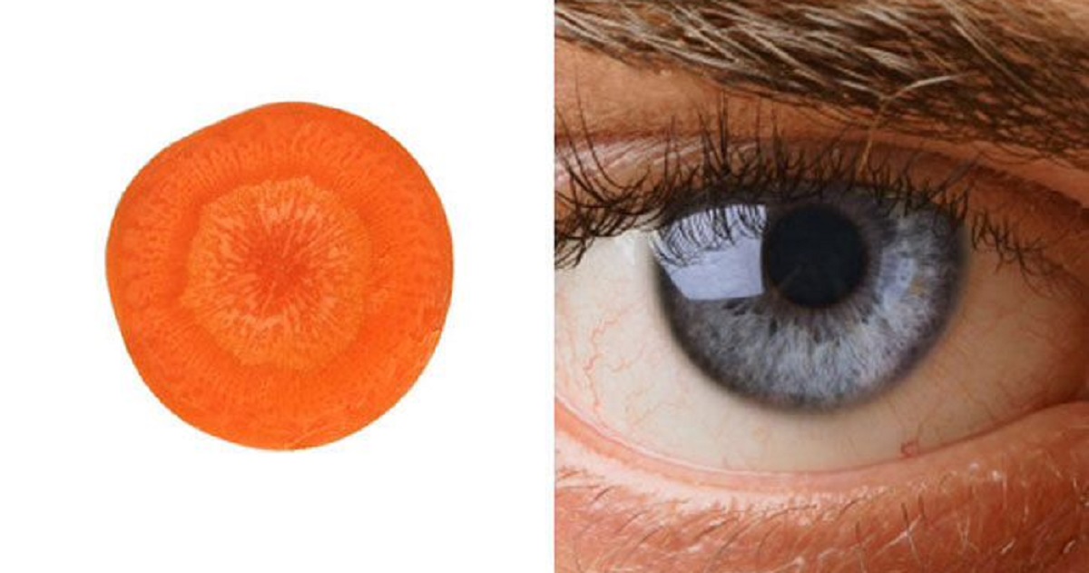 Karotten und Sehkraft: gesund oder ein Mythos? Wir analysieren, ob Karotten wirklich die Augen stärken und was die Wissenschaft dazu sagt.
