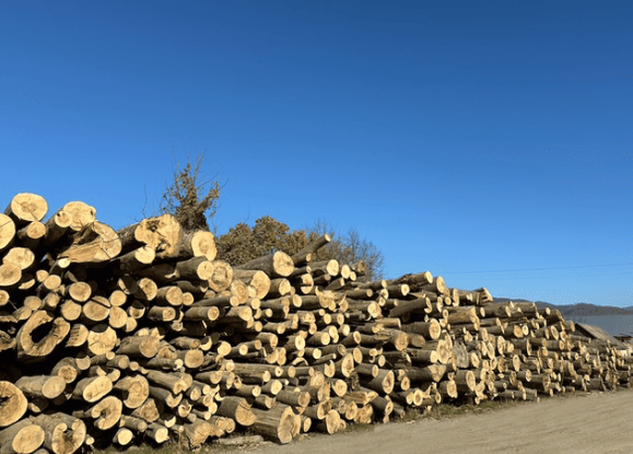 Heizen mit Holzpellets: Kostenvergleich mit Öl und Gas