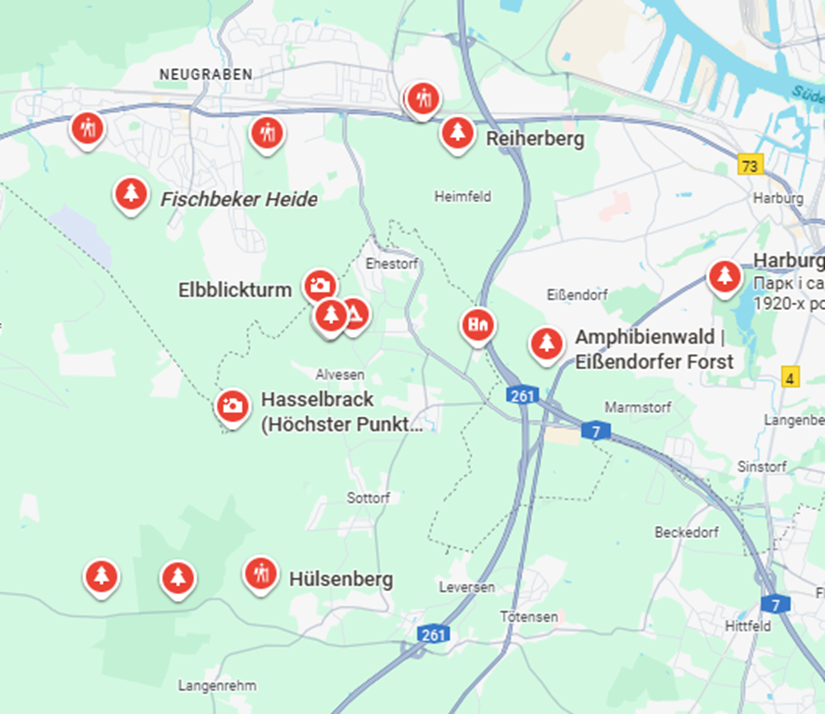 Pilzsaison 2025 in Hamburg: Wann und wo am besten sammeln