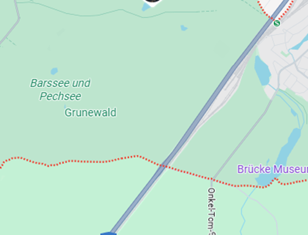 Pilzorte Berlin 2025: Wo sammeln und was man wissen sollte