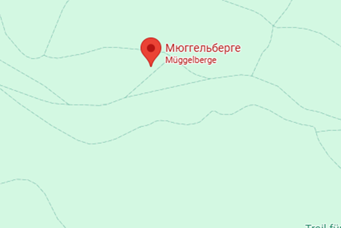 Pilzorte Berlin 2025: Wo sammeln und was man wissen sollte