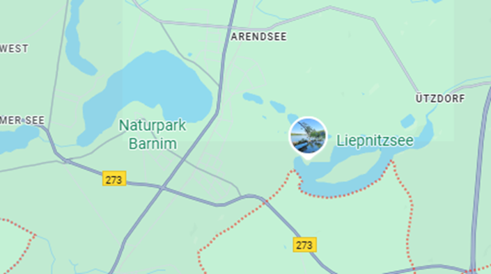 Pilzorte Berlin 2025: Wo sammeln und was man wissen sollte