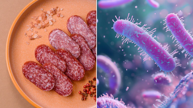 In Deutschland wird „Haussalami“ von Franz Bock wegen möglicher E.-coli-Keime zurückgerufen In Deutschland wird die „Haussalami“ von Franz Bock GmbH wegen möglicher E.-coli-Kontamination zurückgerufen. Genannt werden betroffene Chargen und Verkaufsstellen.