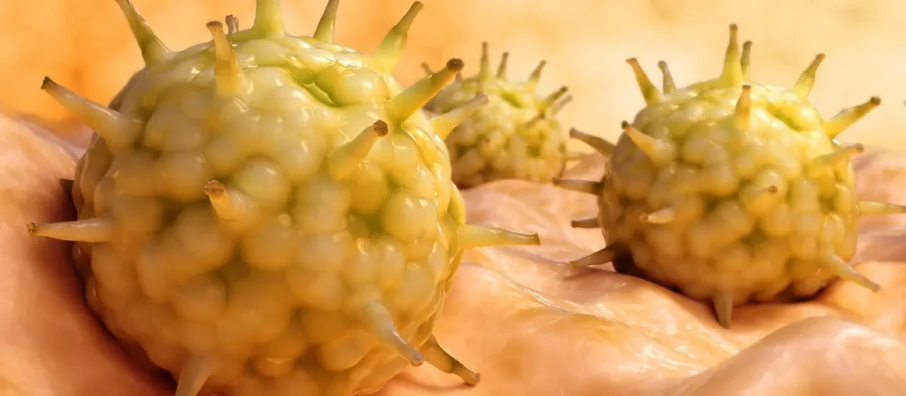 In Europa breitet sich der Grippe-Subtyp H3N2-K rasch aus und trifft vor allem Kinder und Jugendliche. Die Impfstoffe passen nicht vollständig, bieten aber Schutz