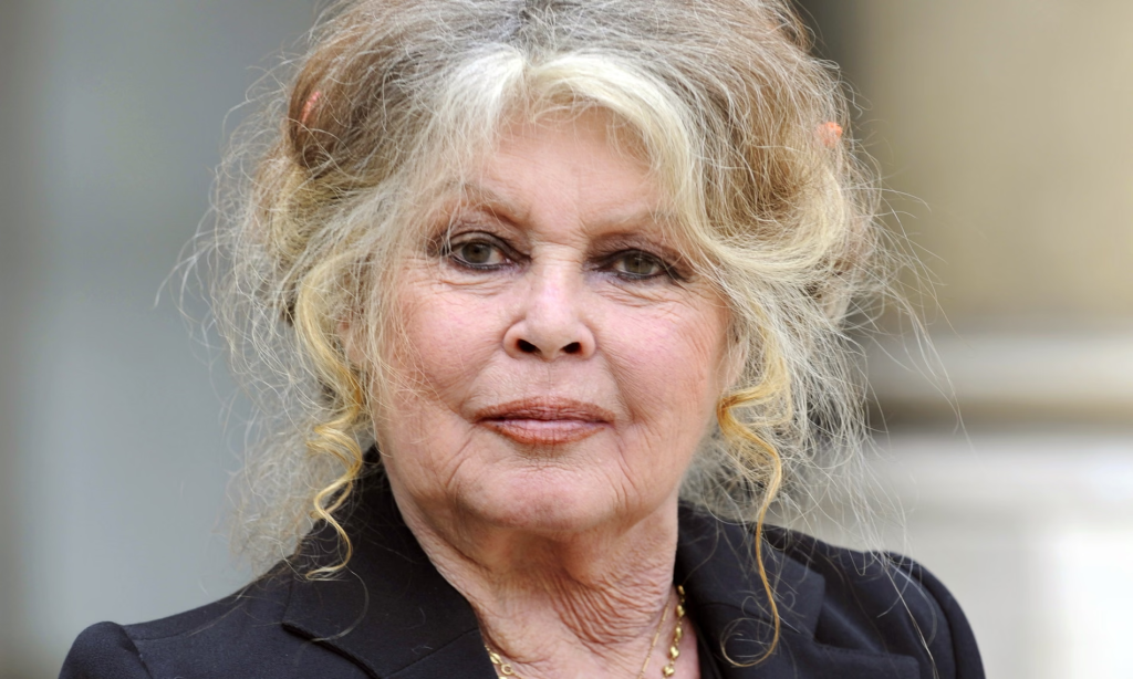 Brigitte Bardot im Alter von 91 Jahren gestorben