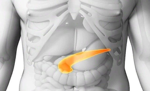 Diät bei Pankreatitis: Was man essen darf und wie man die Krankheit richtig diagnostiziert