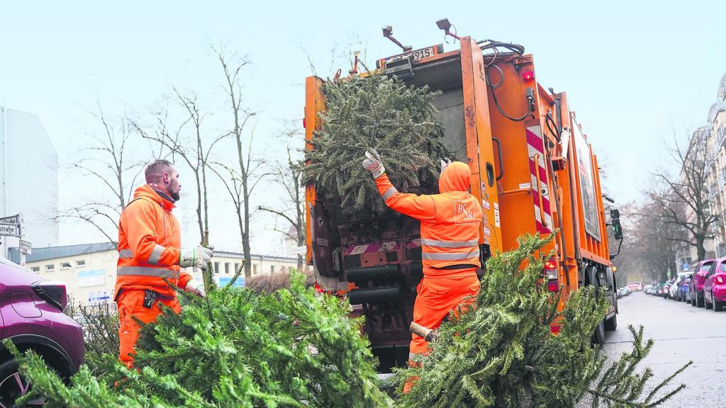 Abholung der Weihnachtsbäume in Berlin: BSR-Zeitplan für Januar 2026 Im Januar 2026 werden in Berlin Weihnachtsbäume abgeholt. Der BSR-Zeitplan zeigt alle Termine nach Bezirken sowie wichtige Hinweise zur Abstellung