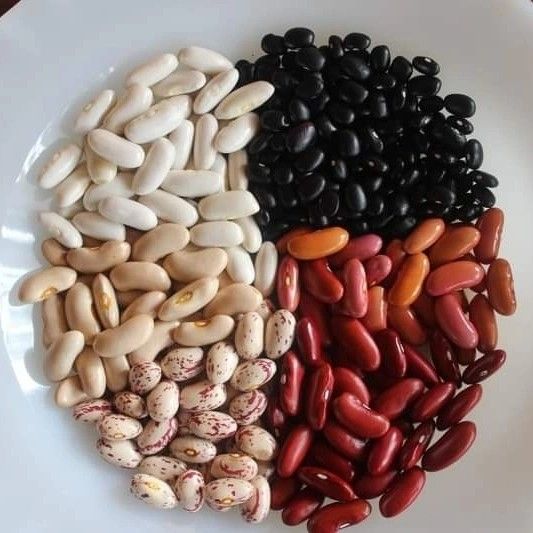 Bohnen: Nutzen, Risiken und richtige Zubereitung