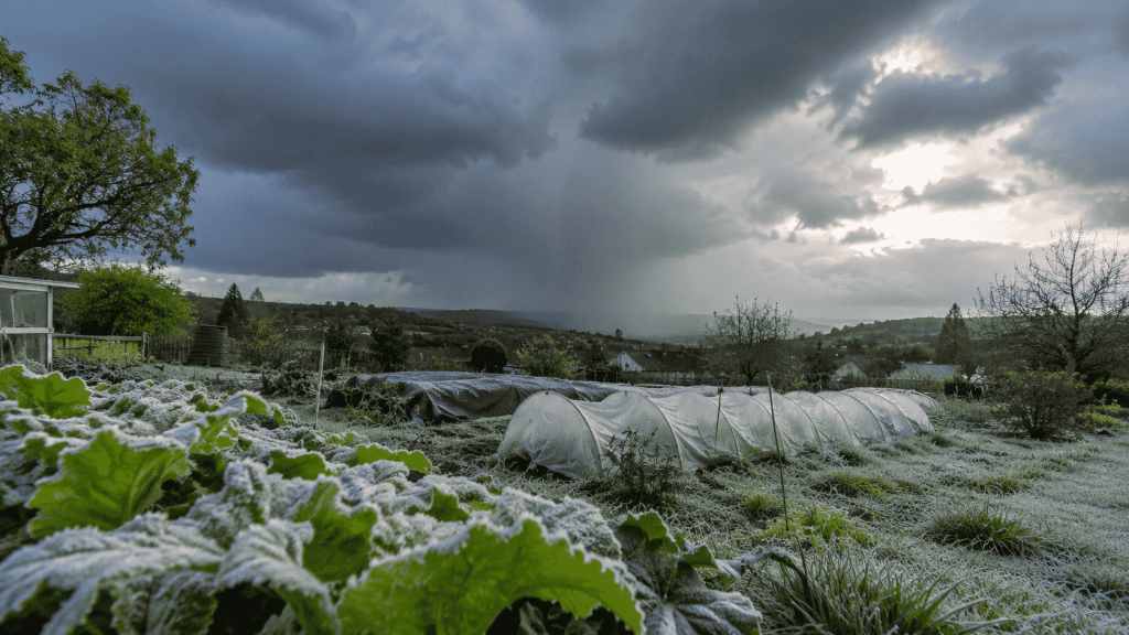 Kalte Sophie bringt Regen, Gewitter und Frostgefahr nach Deutschland. Nach dem 15. Mai wird das Wetter allmählich milder.