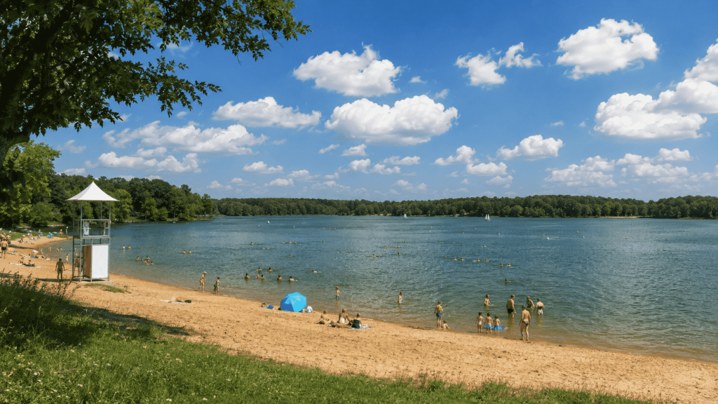 Entdecken Sie die schönsten Badeseen rund um Frankfurt am Main 2026. Mit Infos zu Eintritt, Parken, Strand, Wasserqualität, Gastronomie, Kindern, Hunden und Anreise.