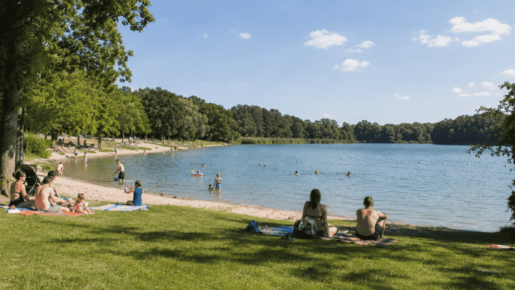 Die schönsten Badeseen in Hamburg 2026: 6 Orte zum Schwimmen mit Infos zu Eintritt, Wasserqualität, Anfahrt, Ausstattung und Tipps für Familien