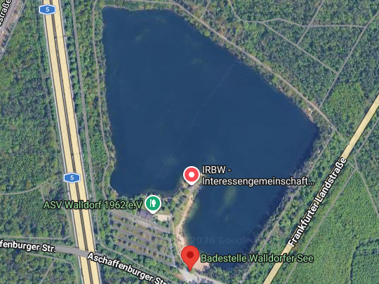 Badeseen Frankfurt am Main 2026: Wo lohnt sich das Baden?