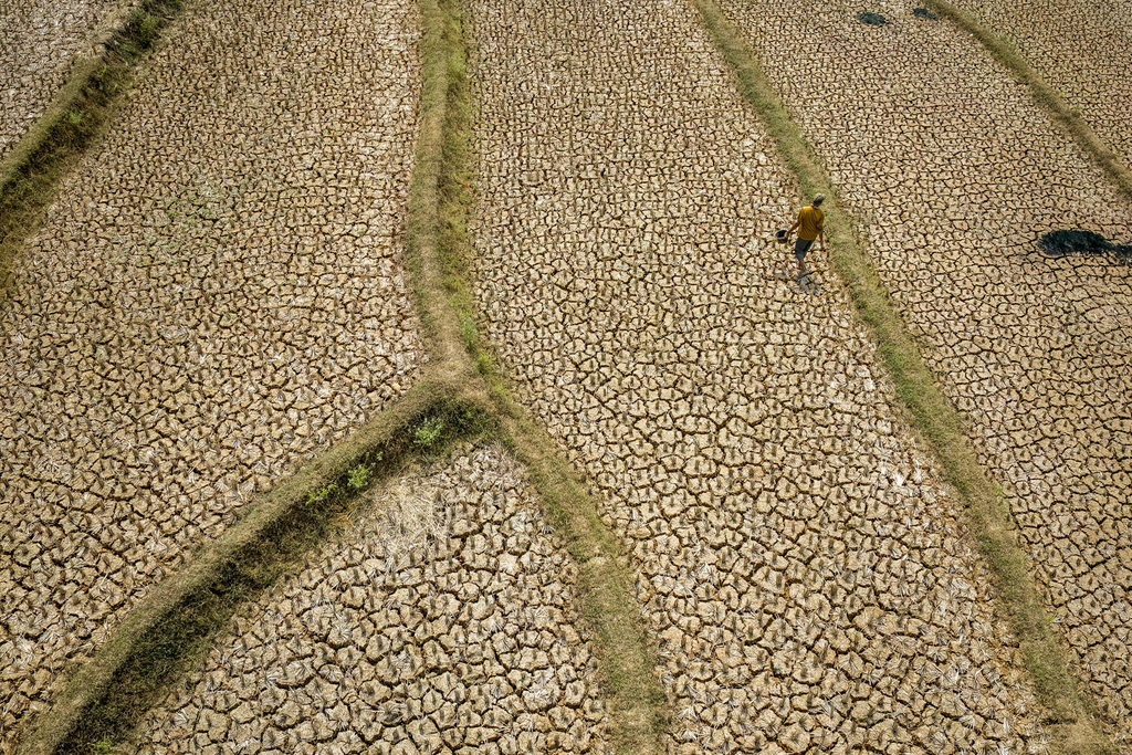 Asien bereitet sich auf ein starkes El Niño vor: China, Japan, Indien und weitere Länder verstärken den Schutz vor Hitze, Dürren, Überschwemmungen und Taifunen.