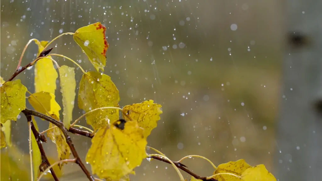 Das Wetter in Deutschland schlägt um: Nach bis zu 26 Grad folgen Regen, Gewitter und Wind. Die Temperaturen sinken auf 12 Grad, in den Bergen fällt Schnee.